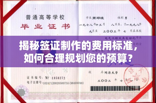 雅江揭秘签证制作的费用标准，如何合理规划您的预算？